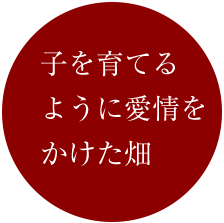 子を育てるように愛情をかけた畑