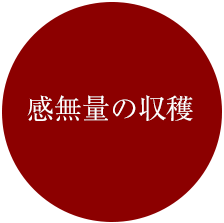 感無量の収穫